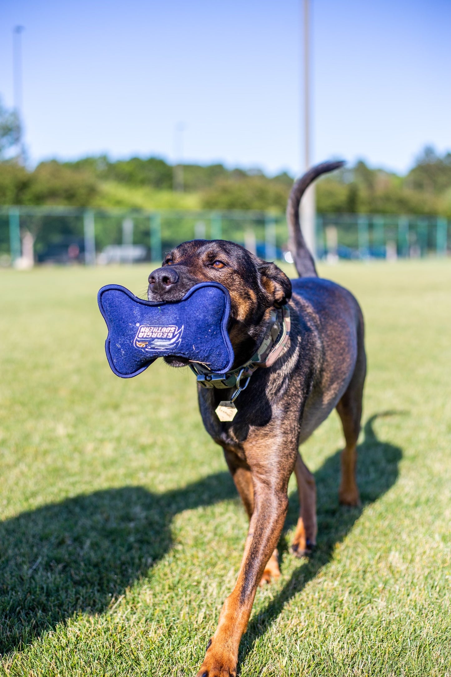 GSU Squeak Dog Bone Shaped Toy