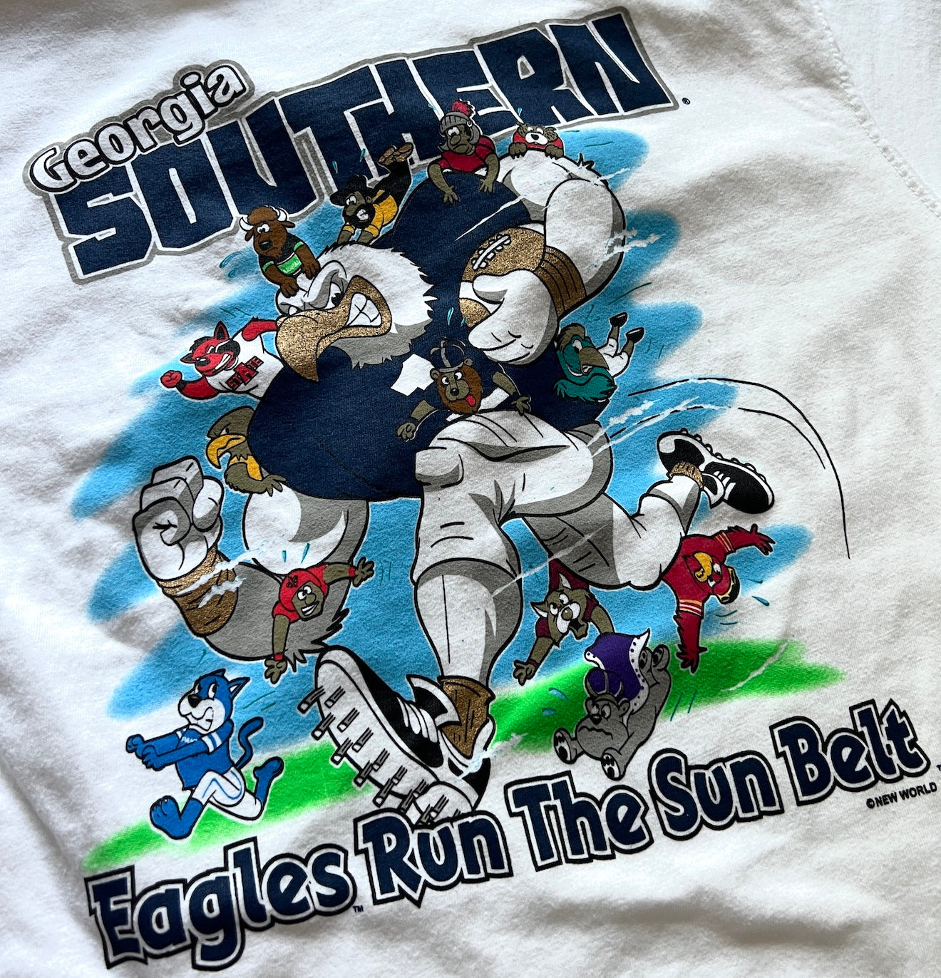 Sun Belt Conference Domination - White Comfort Colors
