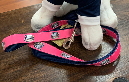 Dog Leash - 6' Ribbon and Nylon - PINK