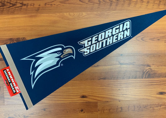 Printed Felt Pennant - 12" x 30"