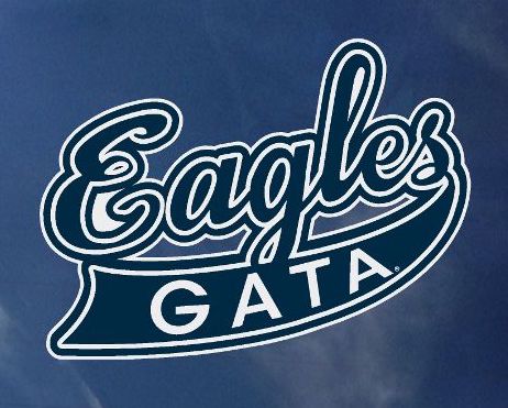 Script Eagles Decal Sticker - 5"